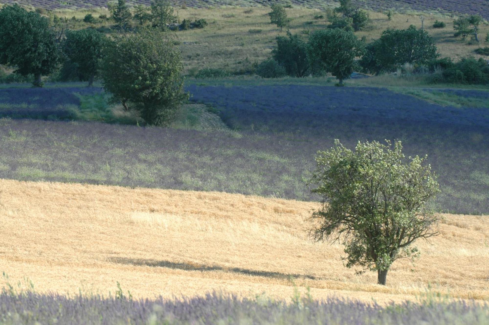 La Claveliere 호텔 Saint-Auban-sur-lʼOuvèze 외부 사진